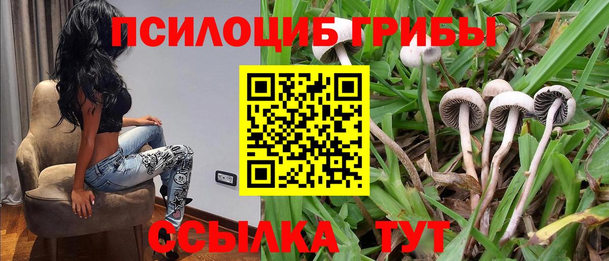 Псилоцибиновые грибы Magic Shrooms Буйнакск