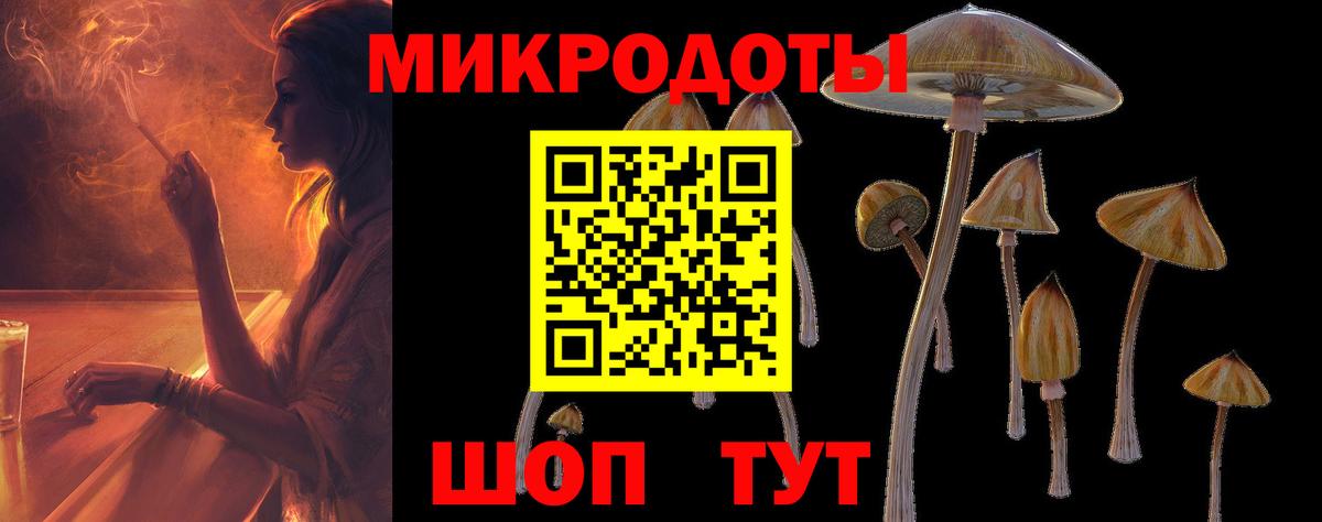 Псилоцибиновые грибы Psilocybine cubensis  Вход с VPN  Буйнакск  Галлюциногенные грибы прущие грибы 
